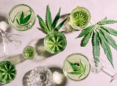 czy marihuana jest zdrowsza od alkoholu